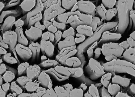 1562742788903838.png blob.png