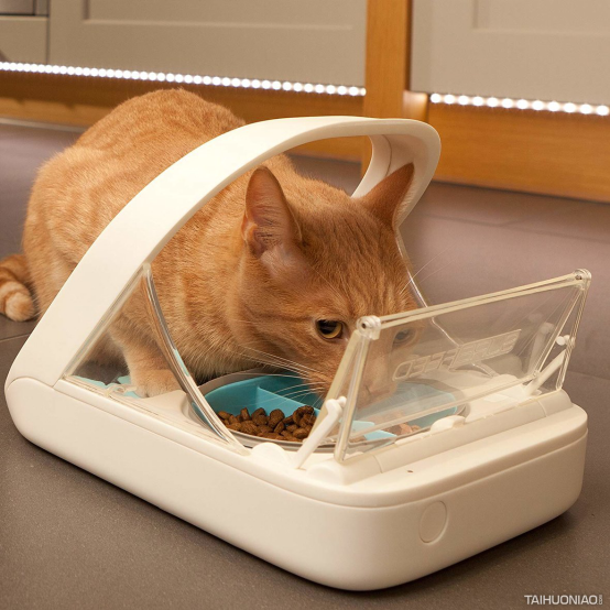 1562749324670110.png blob.png